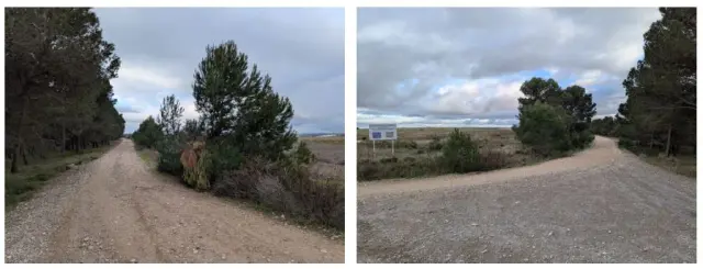 Subasta de finca rústica en Lodosa el 6 de abril de 2026