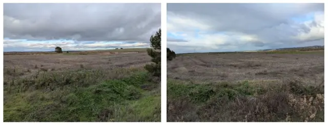 Subasta de finca rústica en Lodosa el 6 de abril de 2026