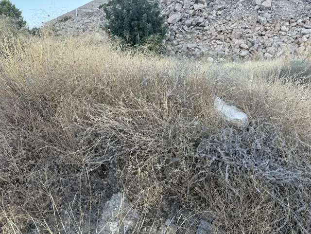 Subasta de solar en Velez De Benaudalla el 30 de marzo de 2026