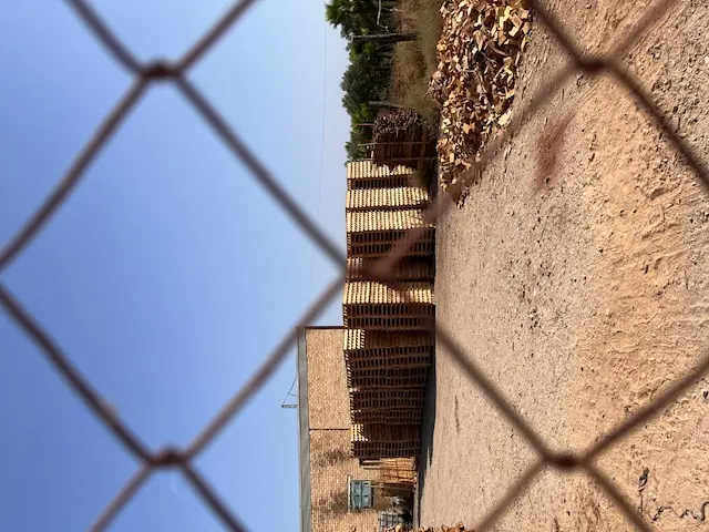 Subasta de finca rústica en Aznalcazar el 20 de abril de 2026