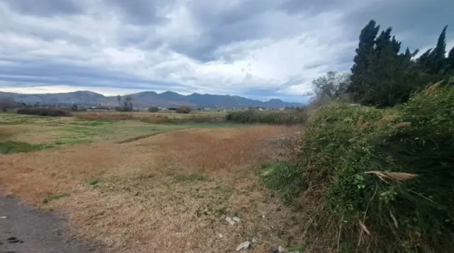 Subasta de finca rústica en Castellon De La Plana el 20 de abril de 2026