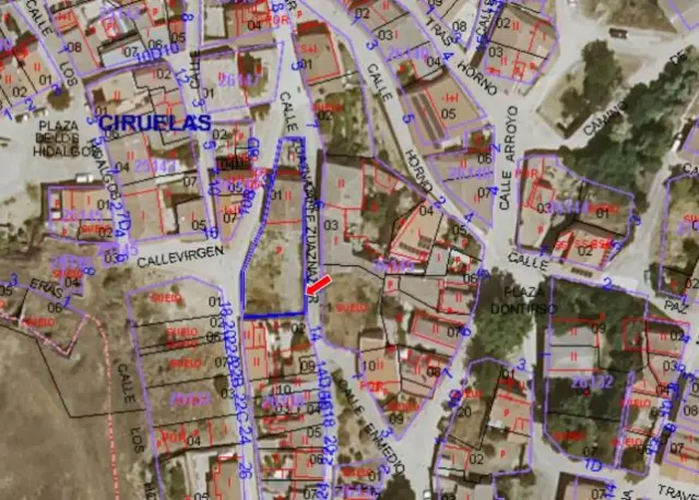 Subasta de vivienda en Ciruelas el 20 de abril de 2026