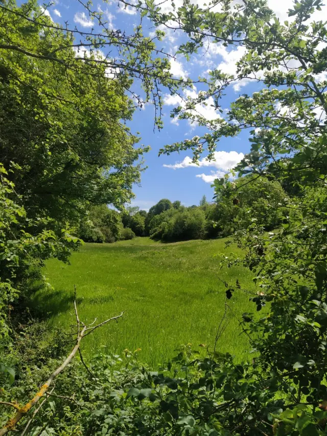 Subasta de finca rústica en Latasa el 6 de abril de 2026