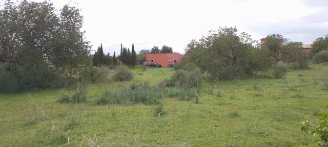 Subasta de vivienda en Llucmajor el 20 de abril de 2026