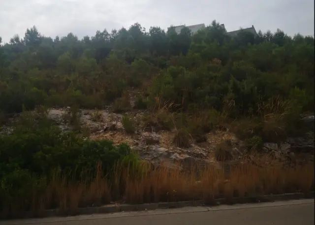 Subasta de otros en Chiva el 6 de abril de 2026