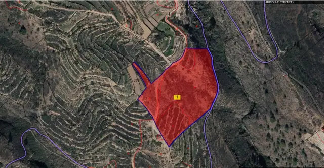 Subasta de finca rústica en Arico el 23 de marzo de 2026