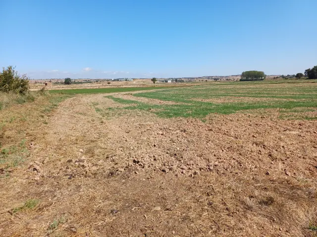 Subasta de finca rústica en Tarrega el 23 de marzo de 2026