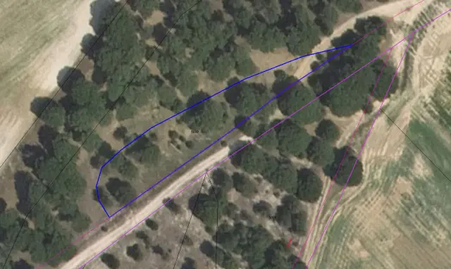 Subasta de finca rústica en Zarza (la) el 30 de marzo de 2026