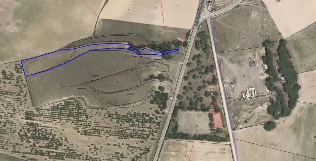Subasta de finca rústica en Zarza (la) el 23 de marzo de 2026