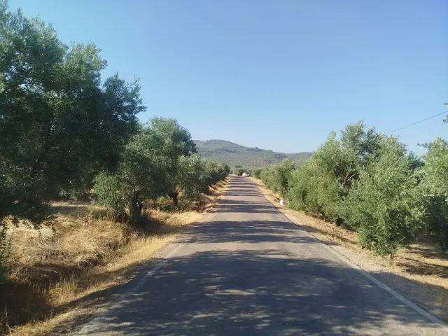 Subasta de finca rústica en Arroyo Del Ojanco el 23 de marzo de 2026