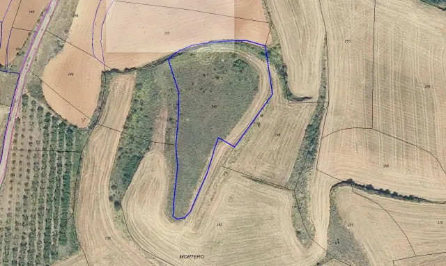 Subasta de finca rústica en Clavijo el 6 de abril de 2026
