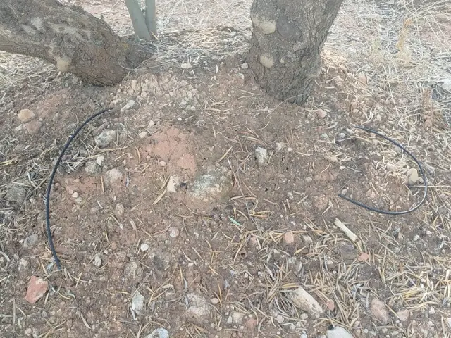 Subasta de finca rústica en Arroyo Del Ojanco el 23 de marzo de 2026