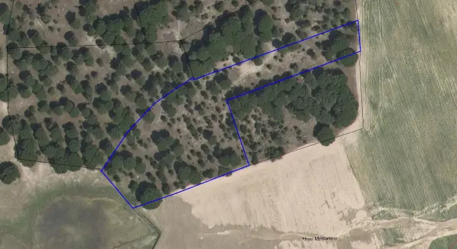 Subasta de finca rústica en Zarza (la) el 23 de marzo de 2026