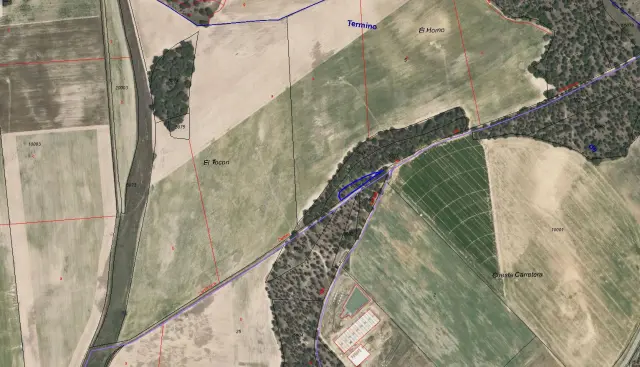 Subasta de finca rústica en Zarza (la) el 30 de marzo de 2026