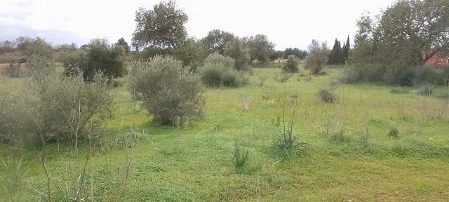 Subasta de vivienda en Llucmajor el 20 de abril de 2026