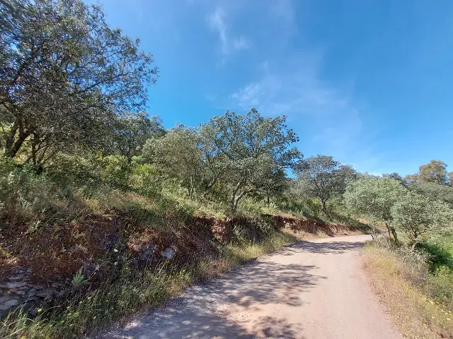 Subasta de finca rústica en El Ronquillo el 6 de abril de 2026