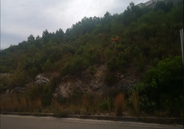 Subasta de otros en Chiva el 6 de abril de 2026