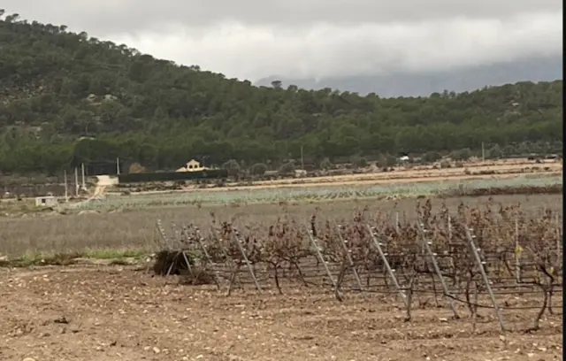 Subasta de finca rústica en Salinas el 13 de abril de 2026
