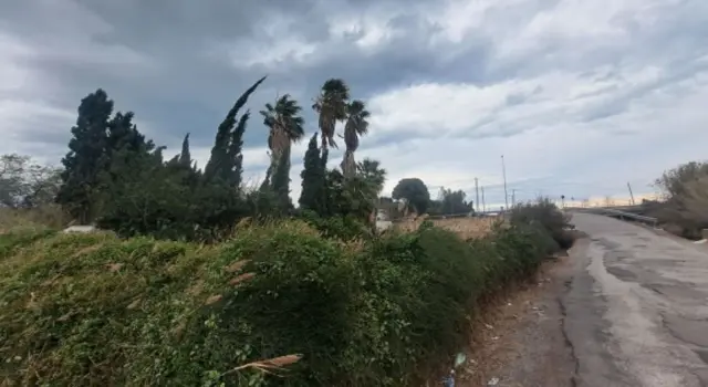 Subasta de finca rústica en Castellon De La Plana el 20 de abril de 2026