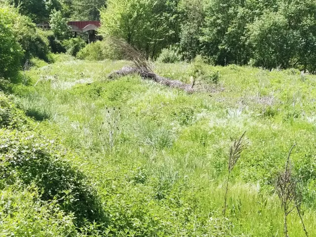Subasta de solar en Latasa el 6 de abril de 2026
