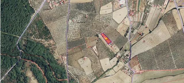 Subasta de finca rústica en Aznalcazar el 20 de abril de 2026