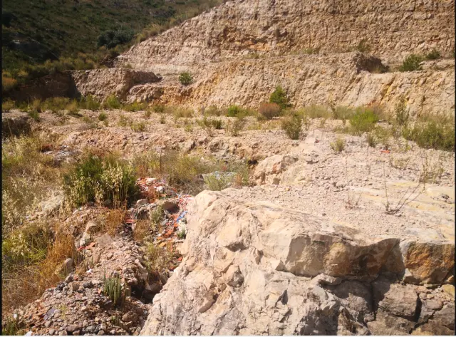 Subasta de otros en Chiva el 6 de abril de 2026