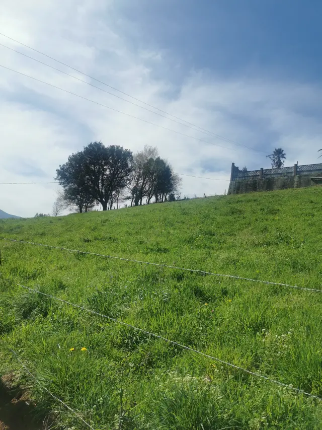 Subasta de finca rústica en Medio Cudeyo el 20 de abril de 2026