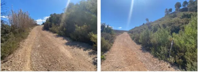 Subasta de finca rústica en Bocairent el 30 de marzo de 2026