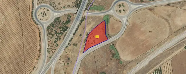 Subasta de finca rústica en Posadas el 20 de abril de 2026