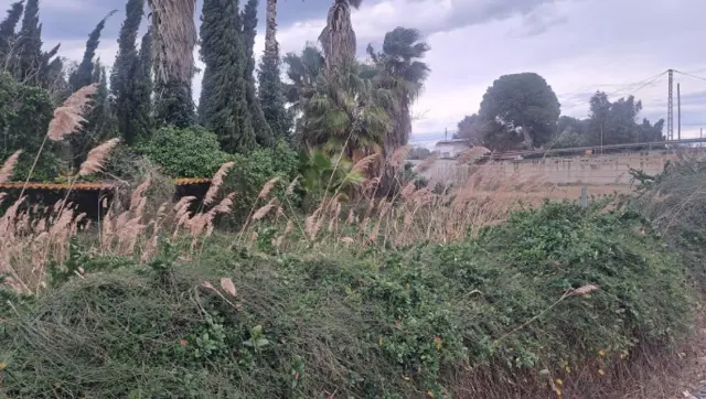 Subasta de finca rústica en Castellon De La Plana el 20 de abril de 2026