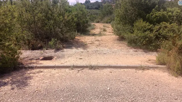 Subasta de finca rústica en Torrent el 6 de abril de 2026