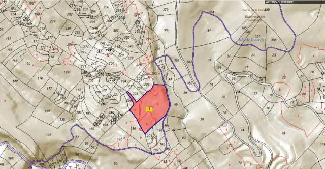 Subasta de finca rústica en Arico el 23 de marzo de 2026