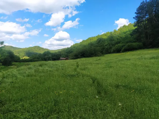 Subasta de finca rústica en Latasa el 6 de abril de 2026