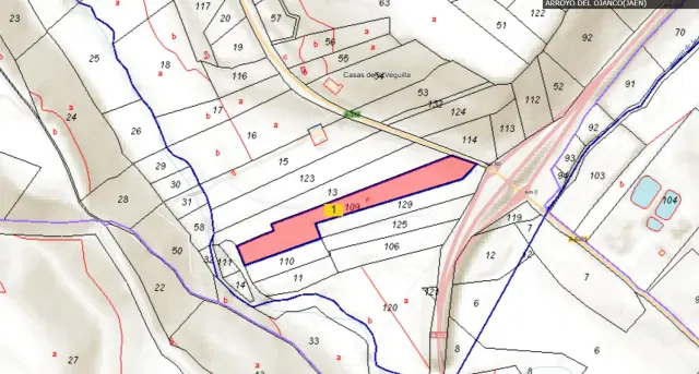 Subasta de finca rústica en Arroyo Del Ojanco el 23 de marzo de 2026