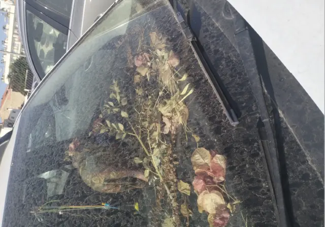 Subasta de turismos Dacia Sandero el 30 de marzo de 2026