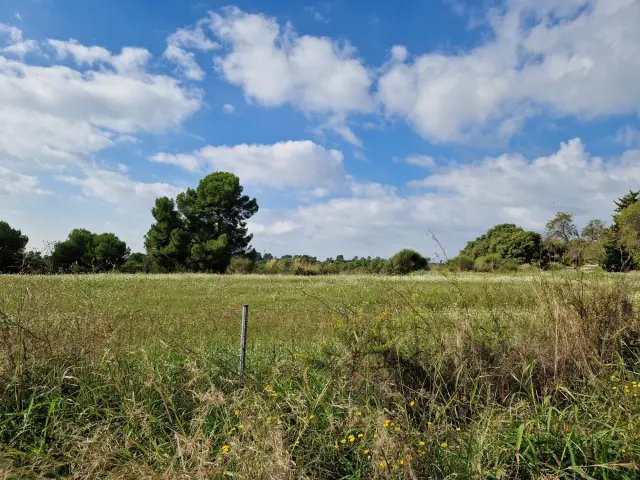 Subasta de finca rústica en Sabadell el 6 de abril de 2026