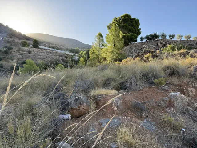 Subasta de solar en Velez De Benaudalla el 30 de marzo de 2026
