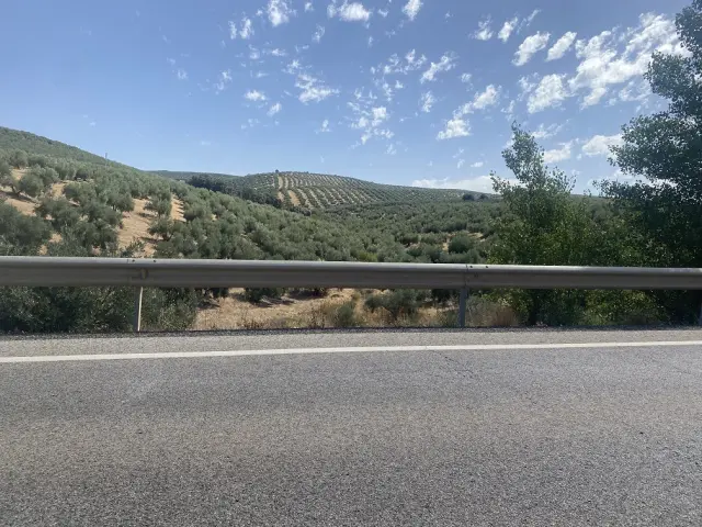 Subasta de finca rústica en Moclin el 6 de abril de 2026