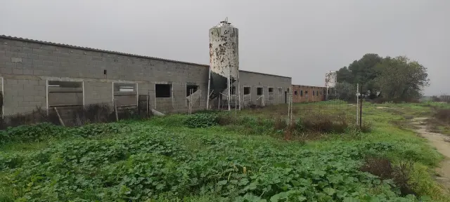 Subasta de finca rústica en Vila-sana el 20 de abril de 2026