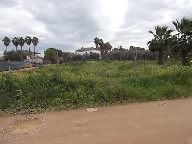 Subasta de finca rústica en Cordoba el 23 de marzo de 2026