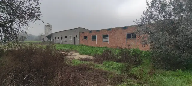 Subasta de finca rústica en Vila-sana el 20 de abril de 2026