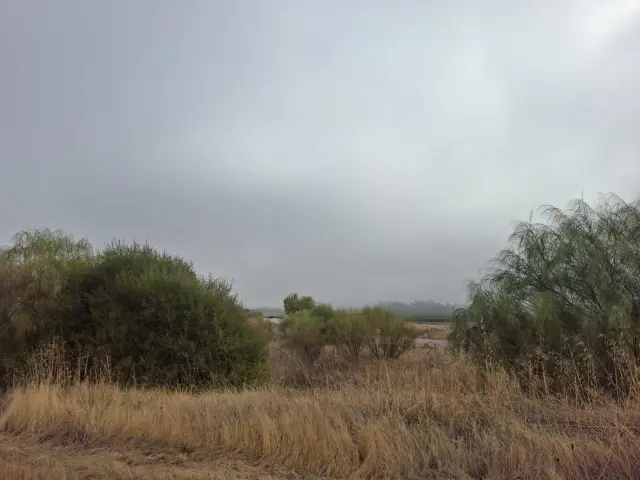 Subasta de finca rústica en Posadas el 20 de abril de 2026