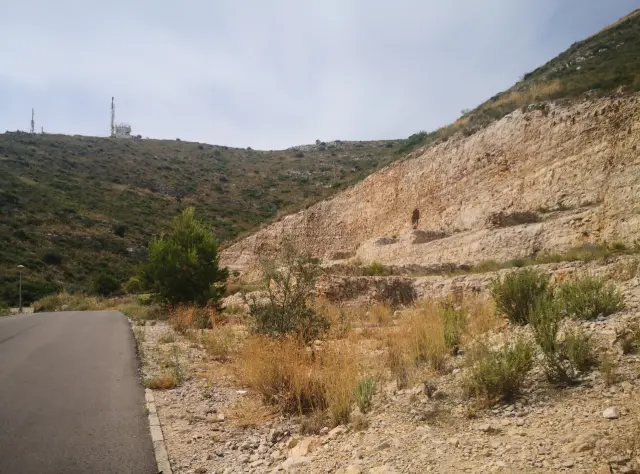 Subasta de otros en Chiva el 6 de abril de 2026