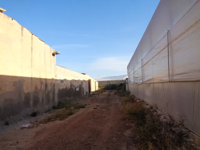 Subasta de otros en Almeria el 6 de abril de 2026