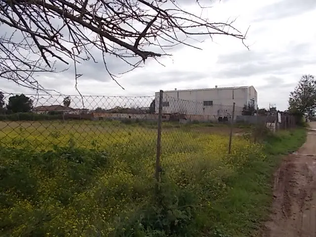 Subasta de finca rústica en Cordoba el 23 de marzo de 2026