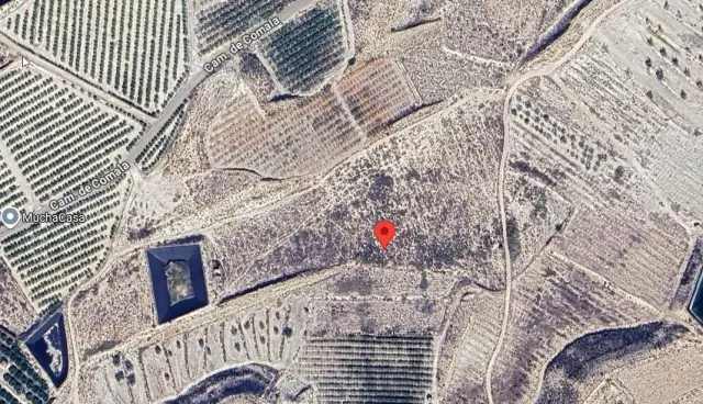 Subasta de finca rústica en Molina De Segura el 13 de abril de 2026