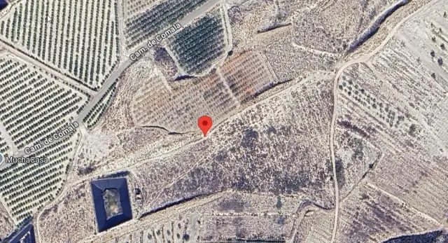 Subasta de finca rústica en Molina De Segura el 13 de abril de 2026