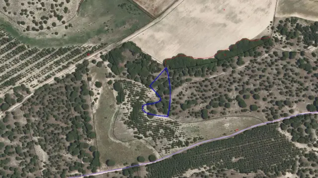 Subasta de finca rústica en Zarza (la) el 30 de marzo de 2026