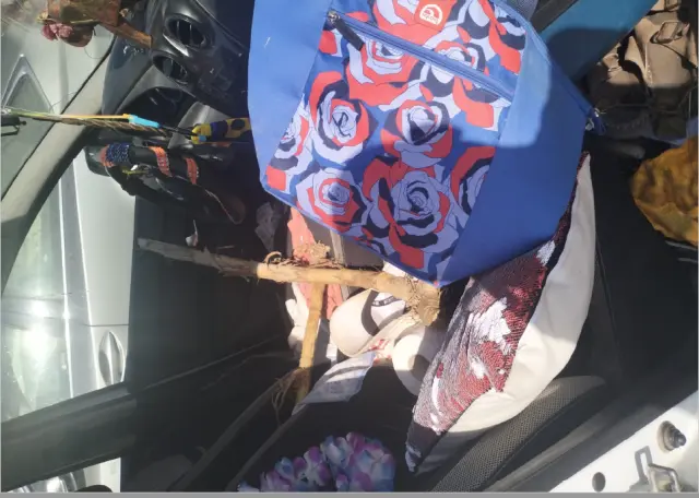 Subasta de turismos Dacia Sandero el 30 de marzo de 2026