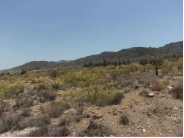 Subasta de finca rústica en Lorca el 30 de marzo de 2026